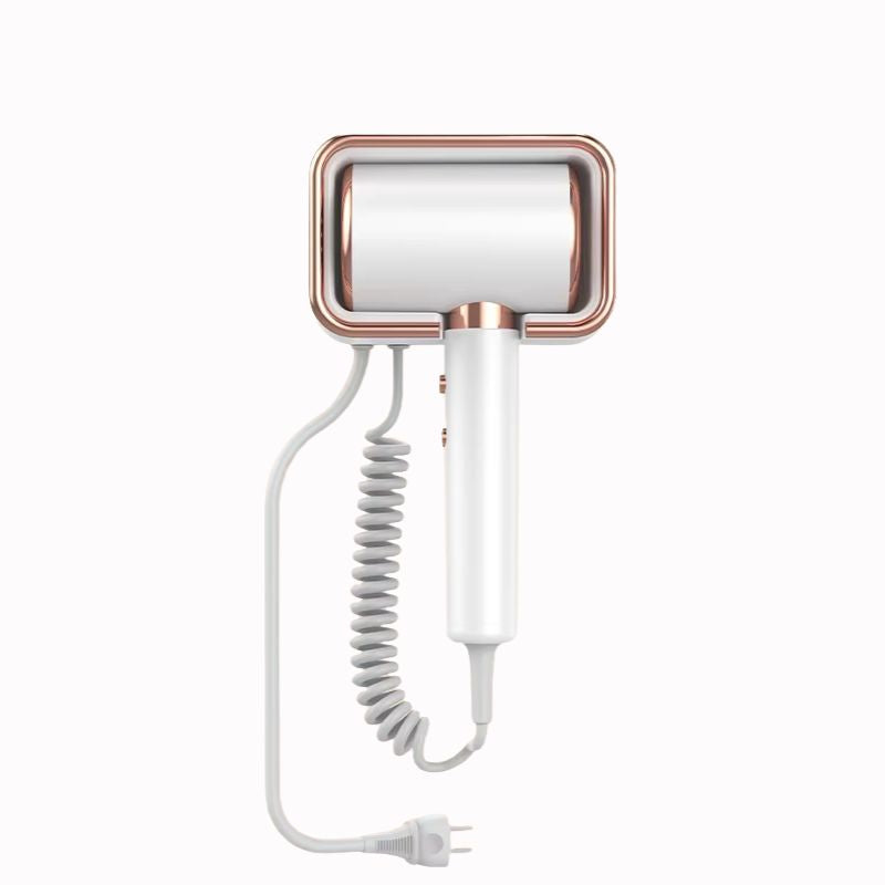 Sèche-cheveux professionnel mural 220V — Ionic