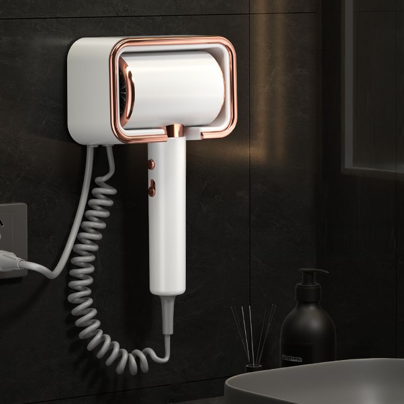 Sèche-cheveux professionnel mural 220V — Ionic Image