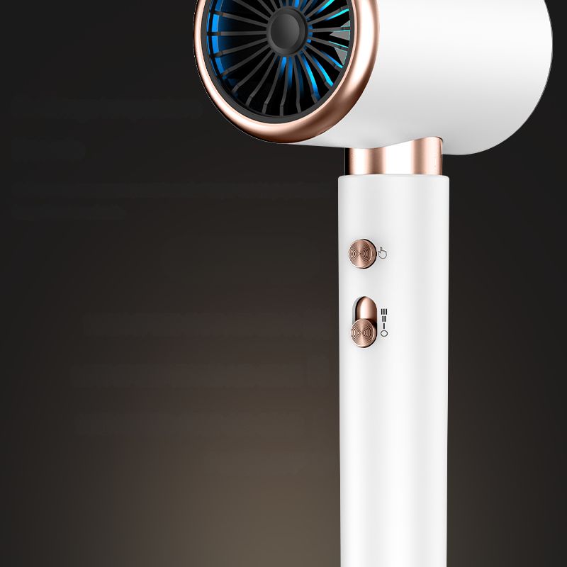 Sèche-cheveux professionnel mural 220V — Ionic