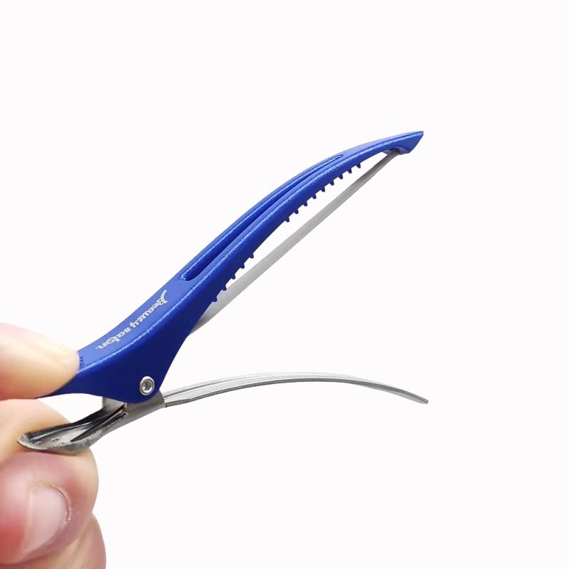 Pince à Cheveux – Lot Pratique et Durable sur fond blanc Image